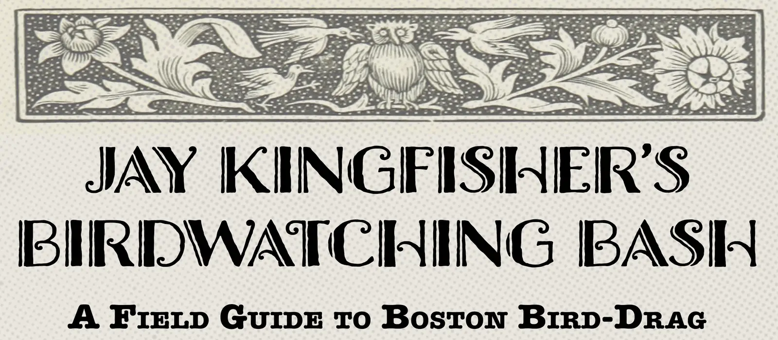 Jay Kingfisher's Birdwatching Bash