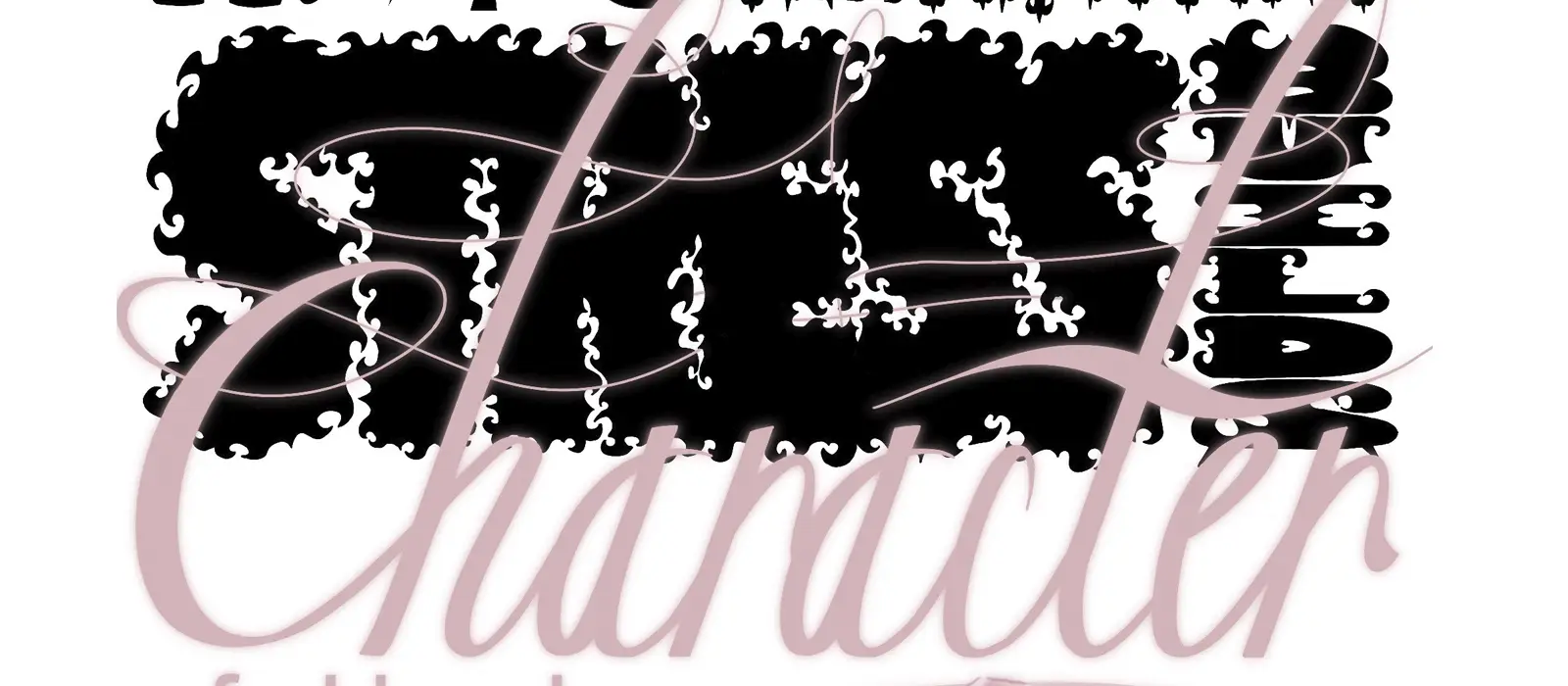 Stress Builds Character Fashion Show