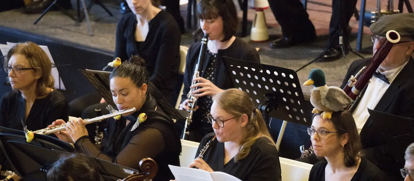 Cambridge Symphony Orchestra - Family Concert